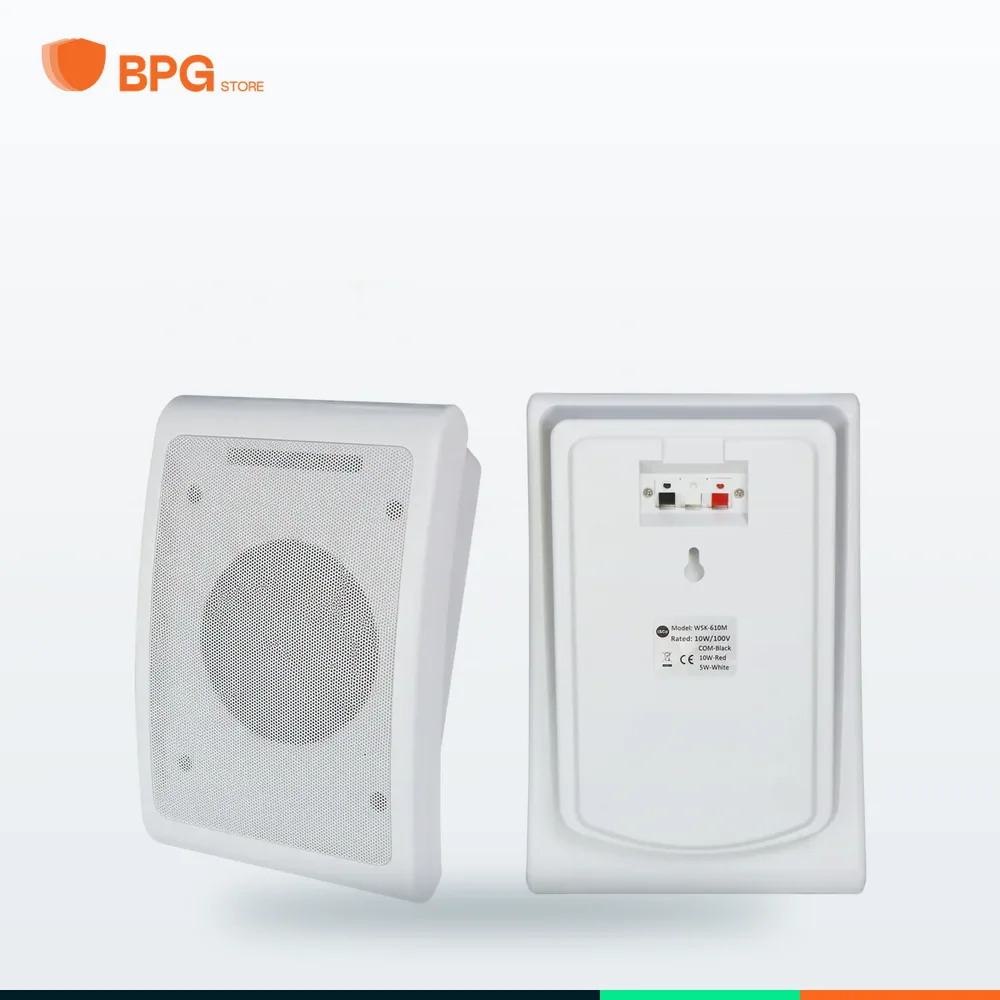 سماعة حائطية 10 واط – DSPPA DSP106II